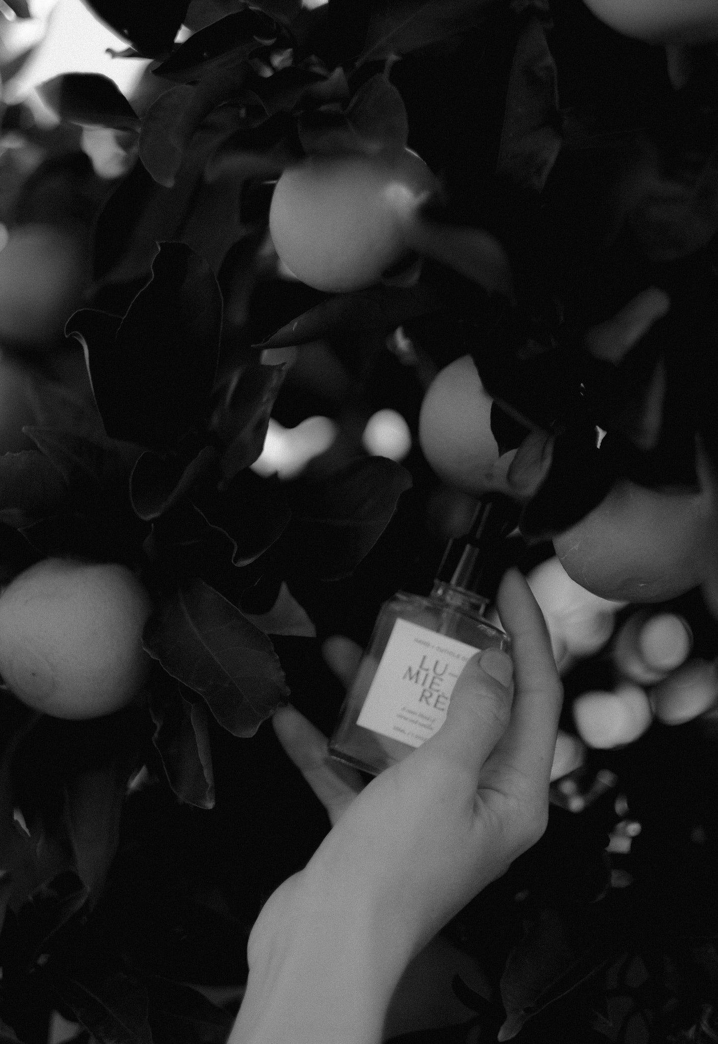 Lumierè Hand and Cuticle Oil